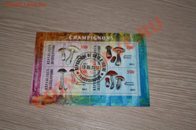Марки блоки ГРИБЫ 22 шт - IMG_7444.JPG