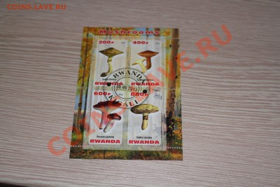 Марки блоки ГРИБЫ 22 шт - IMG_7442.JPG