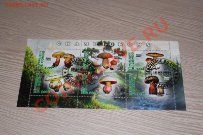Марки блоки ГРИБЫ 22 шт - IMG_7441.JPG