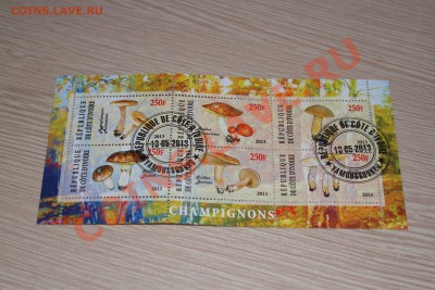Марки блоки ГРИБЫ 22 шт - IMG_7439.JPG