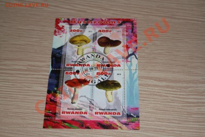 Марки блоки ГРИБЫ 22 шт - IMG_7438.JPG