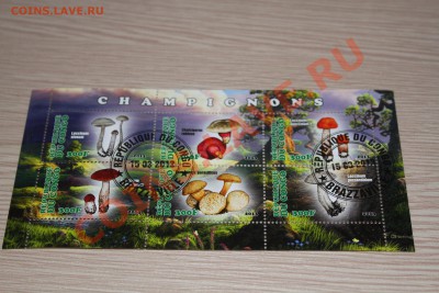 Марки блоки ГРИБЫ 22 шт - IMG_7437.JPG
