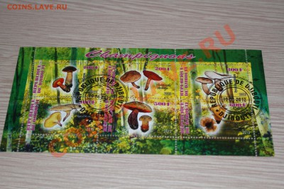 Марки блоки ГРИБЫ 22 шт - IMG_7435.JPG
