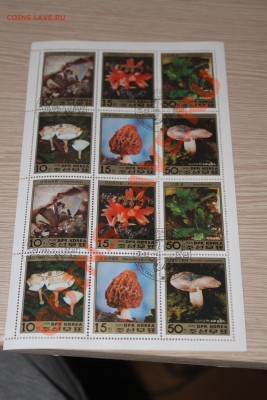 Марки блоки ГРИБЫ 22 шт - IMG_7434.JPG