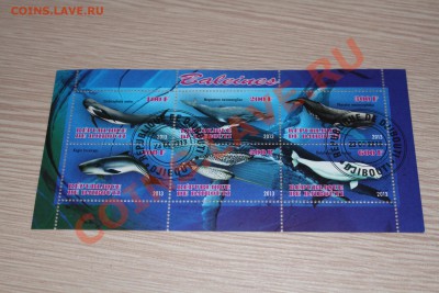 Марки блоки МОРСКИЕ ОБИТАТЕЛИ - IMG_7500.JPG