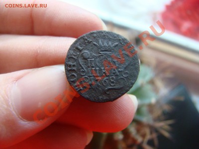 Сибирская полушка 1768г Короткий - DSC06259.JPG