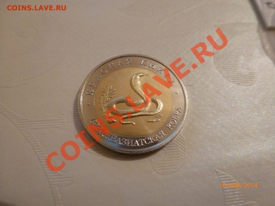 КК 1992 Среднеазиатская кобра (копия) до 2.02.14г 22:00МСК - P1080093.JPG