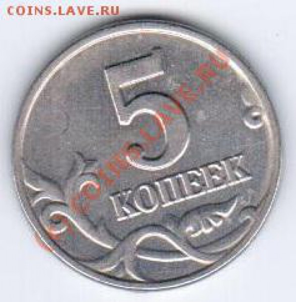 б - портрет55555555 005