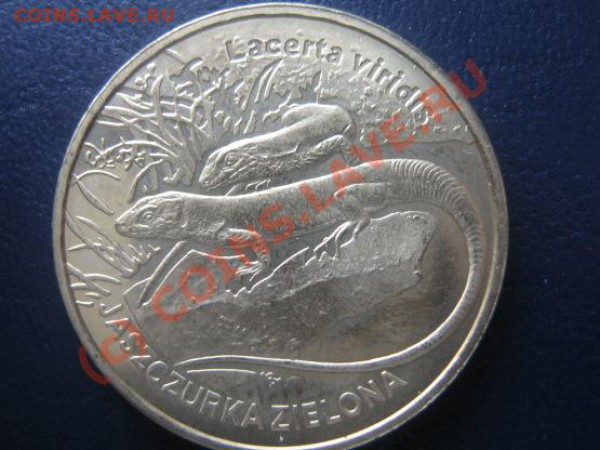 Польша, 2009 г, 2 злотых, до 18.02 в 21-00 мск - яч