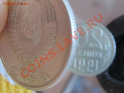 двора . - IMG_2612.JPG