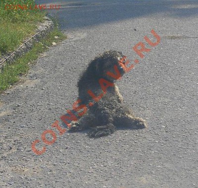 ФОТО - просто фото. Те что получились удачными. - getImage (2)