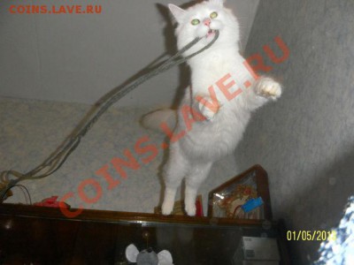 ФОТО - просто фото. Те что получились удачными. - getImage (13)