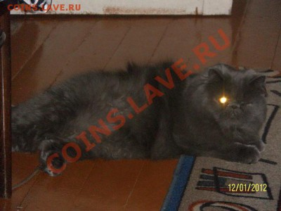 ФОТО - просто фото. Те что получились удачными. - getImage (20)