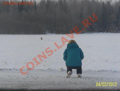ФОТО - просто фото. Те что получились удачными. - getImage (19)