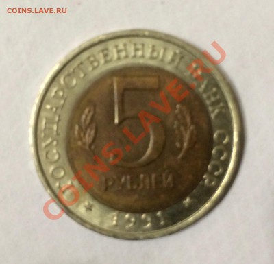 КК рыбный филин и Еврейская АО ммд брак - image