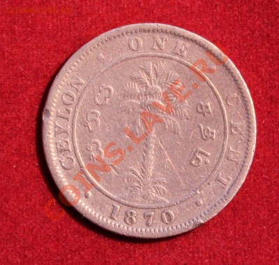 БРИТ.ЦЕЙЛОН 1с 1870г. ВИКТОРИЯ  до 9.02.14г. в 22-00 - IMG_0724.JPG