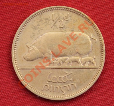 2 пенни 1966г. СВИНОМАТКА   до 9.02.14г. в 22-00 - IMG_0591.JPG