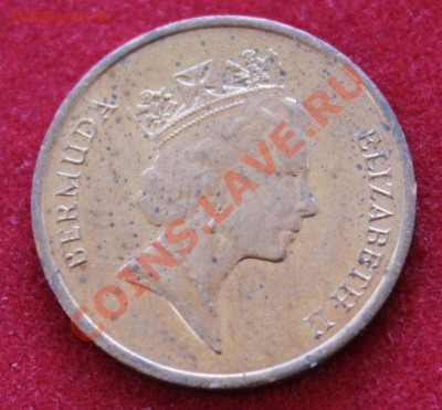С 1 РУБЛЯ БЕРМУДА 1 с 1986г. ПОРОСЁНОК до 9.02.14г в 22-00 - IMG_0772.JPG