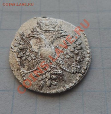 Гривна  1726 года . Оценка. - SAM_0963.JPG
