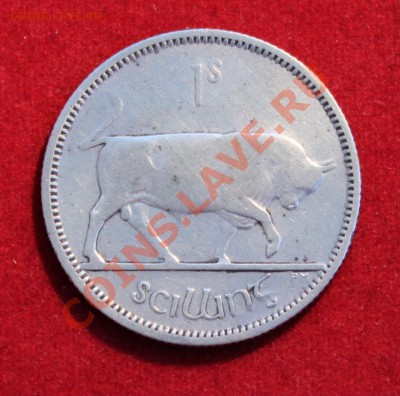 СТАРАЯ ИРЛАНДИЯ 1 шиллинг 1928г. БЫК  до 9.02.14г в 22-00 - IMG_0736.JPG