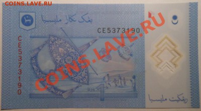 Две боны Малазии 1ринггит! До 10.02.2014г! - DSCN5663