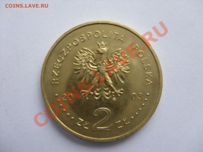 Монеты Польши. 5 злотых розница и опт. - SDC10044_новый размер.JPG