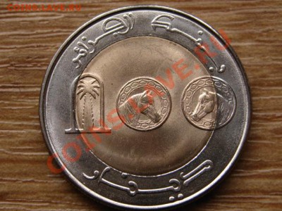 Алжир 100 динаров 1993 биметал до 05.02.14 в 21.00 М - IMG_1584