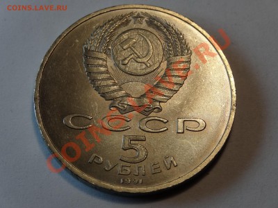 5р Сасунский + 5р Петродворец до 06.02.14 23:00 МСК - DSC02237.JPG