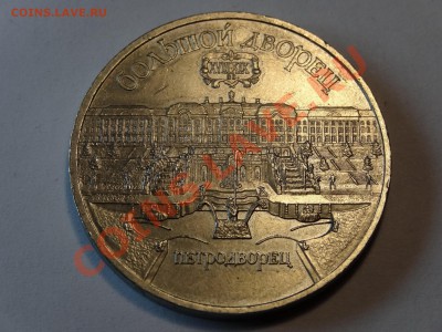 5р Сасунский + 5р Петродворец до 06.02.14 23:00 МСК - DSC02240.JPG