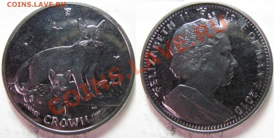 1 крона О. Мэн. Кошки. 2010г. до 07.02. в 22°°. - 2010