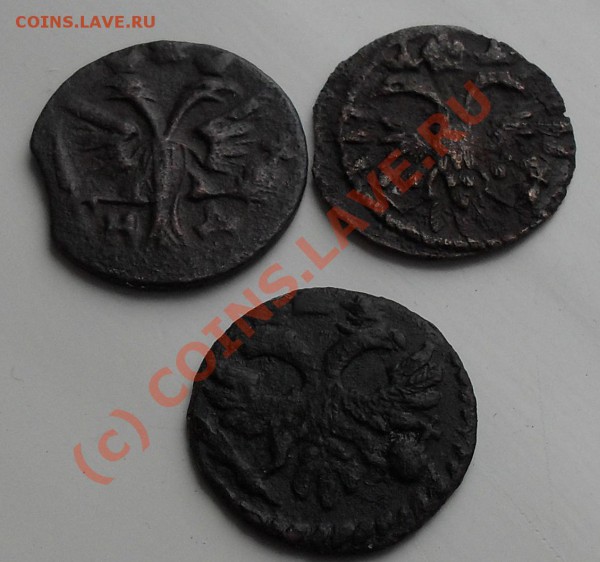 полушка 1719, 1722 оценить для продажи - SDC10949.JPG