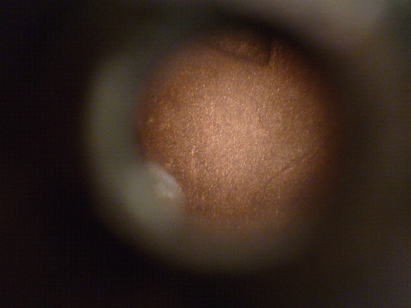 б. Старт 300. до 22:00 мск. 20.02.2010 - P1000887.GIF