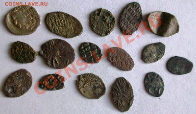 16 чешуек (до 11-02-2014 в 22:00) - 100_8989.JPG