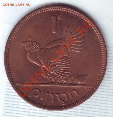 Ирландия.Пенни.1965.Курица. до 12.02 - 19650011.JPG