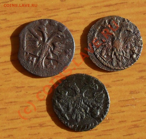 полушка 1719, 1722 оценить для продажи - SDC10954.JPG