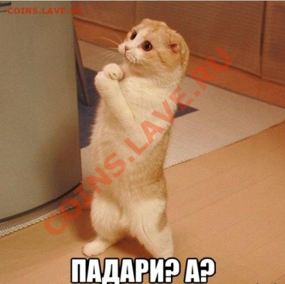 делает - прямо сейчас !!! - image