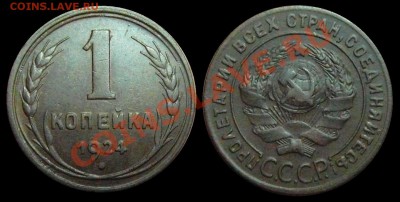 1 копейка 1924 год . до 17.02.2014 до 22-00 по Москве - 1 копейка 1924 г общая