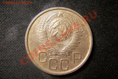 ЦВЕТНОЙ ФАКЕЛ !!!ЦВЕТНЫЕ СОЧИ!! ЕСТЬ ВСЕ!!!БОНЫ!! - 101_0310.JPG