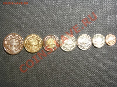 делает - прямо сейчас !!! - DSC02876.JPG