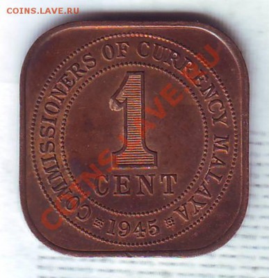 делает - прямо сейчас !!! - 19450021.JPG