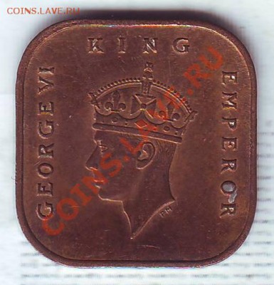 делает - прямо сейчас !!! - 19450022.JPG