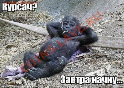 делает - прямо сейчас !!! - image