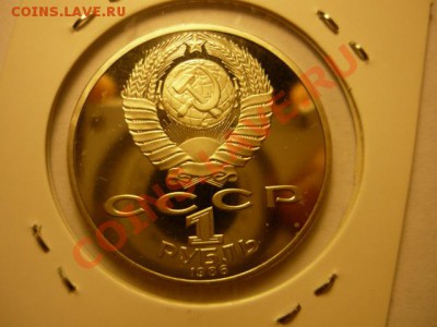 1р Год мира Новодел до 15.02 22-00 - P1050806.JPG