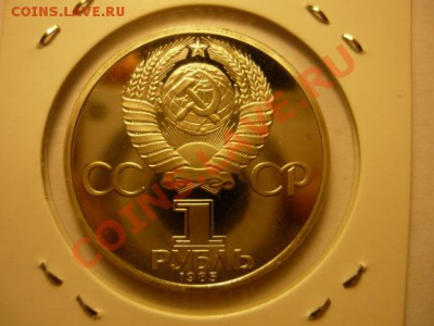 1р Энгельс Новодел до 15.02 22-00 - P1050808.JPG
