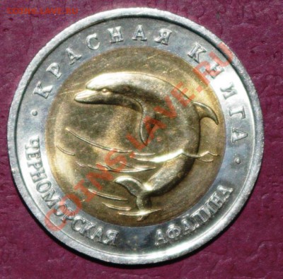 Черноморская афалина КК 50 руб. 1993г. 18 02.14 22:00 - IMGP8330.JPG