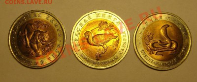 Предпродажная оценка - DSC06833.JPG