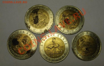 Предпродажная оценка - DSC06836.JPG