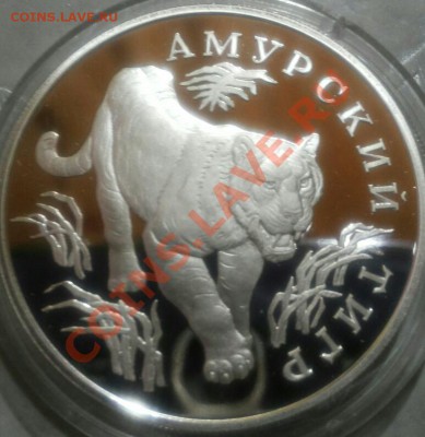 1 рубль Амурский тигр Ag 900 15,55 - 20140203_222130-1-1