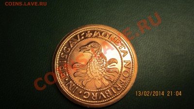 Иностранные: Колумб, Дюрер и птица какая-то. - IMG_8196.JPG