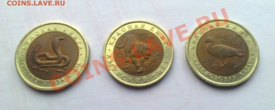Красная книга 1992 год до 19.02.2014г. - 14020009